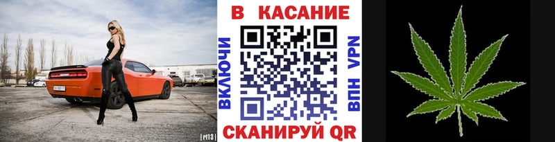 Цена Рошаль COCAIN  Метадон  ГАШ  Меф  Псилоцибиновые грибы 