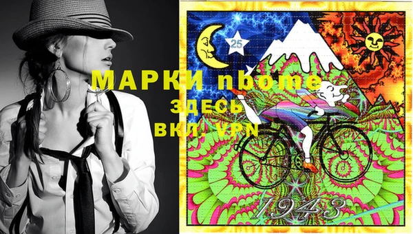 шишки Алексин
