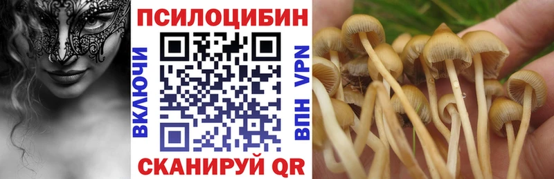 Псилоцибиновые грибы Psilocybe  Рошаль 